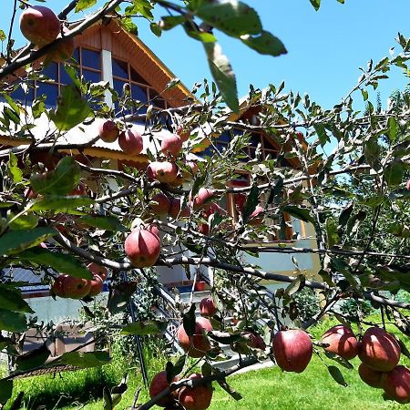 Heavenly Daze Cottage مايالي المظهر الخارجي الصورة