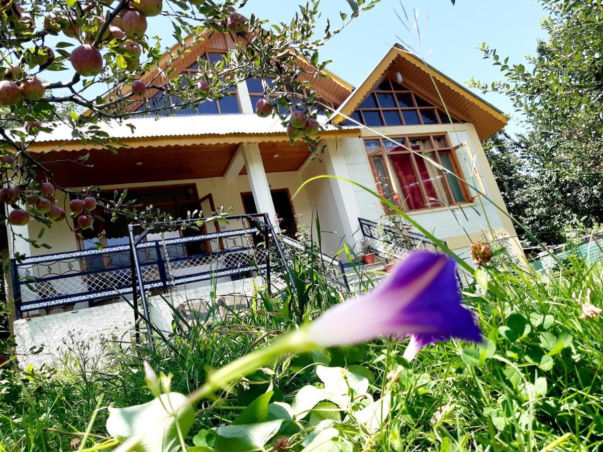 Heavenly Daze Cottage مايالي المظهر الخارجي الصورة